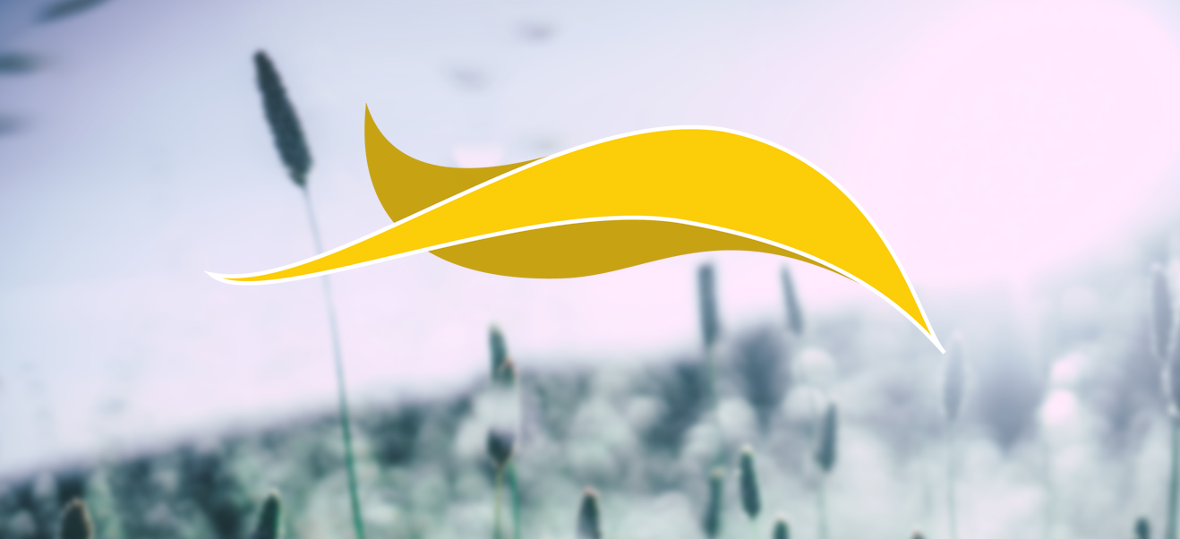 Dee Murray Therapies Logo
