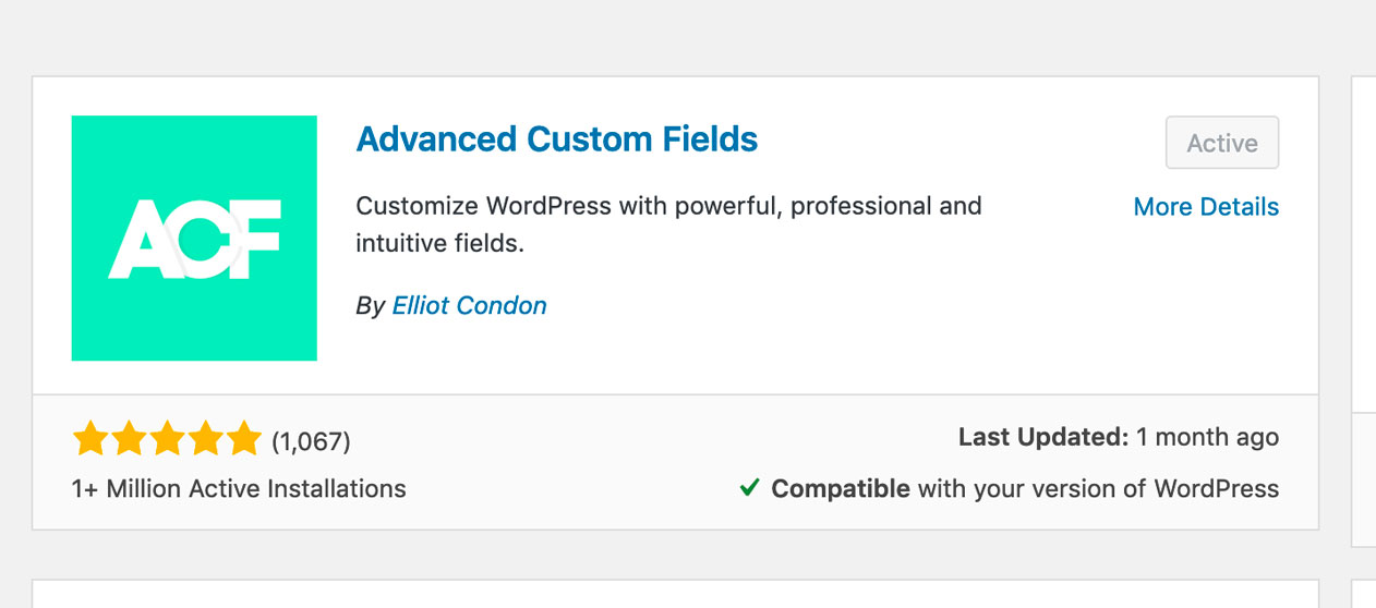 Advanced Custom Fields plugin install